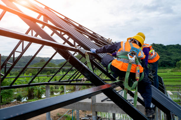 Best Storm Damage Roof Repair  in Dewitt, IA
