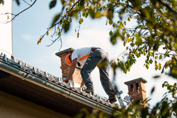 Best Metal Roofing Contractor  in Dewitt, IA